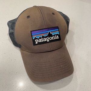 Patagonia gray trucker hat
